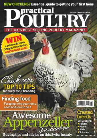 Practical Poultry issue No.134 Awsome Appenzeller