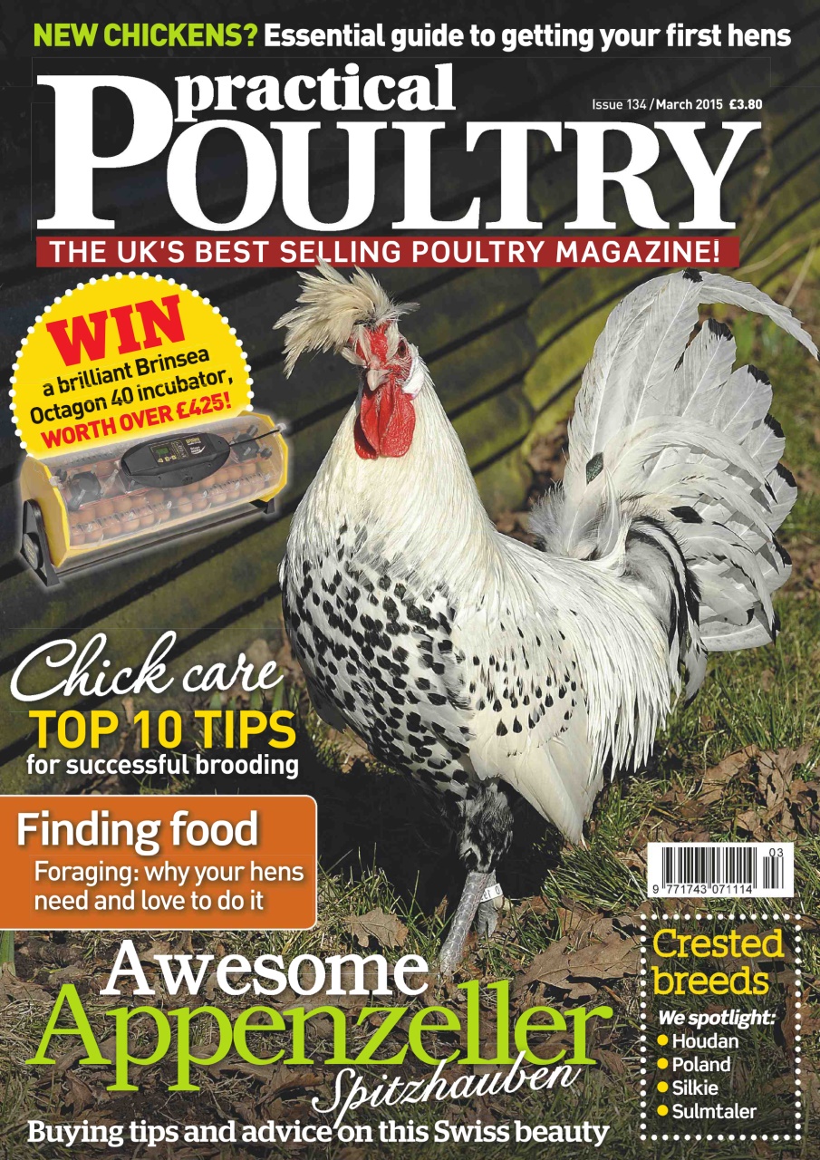Practical Poultry Preview Pages