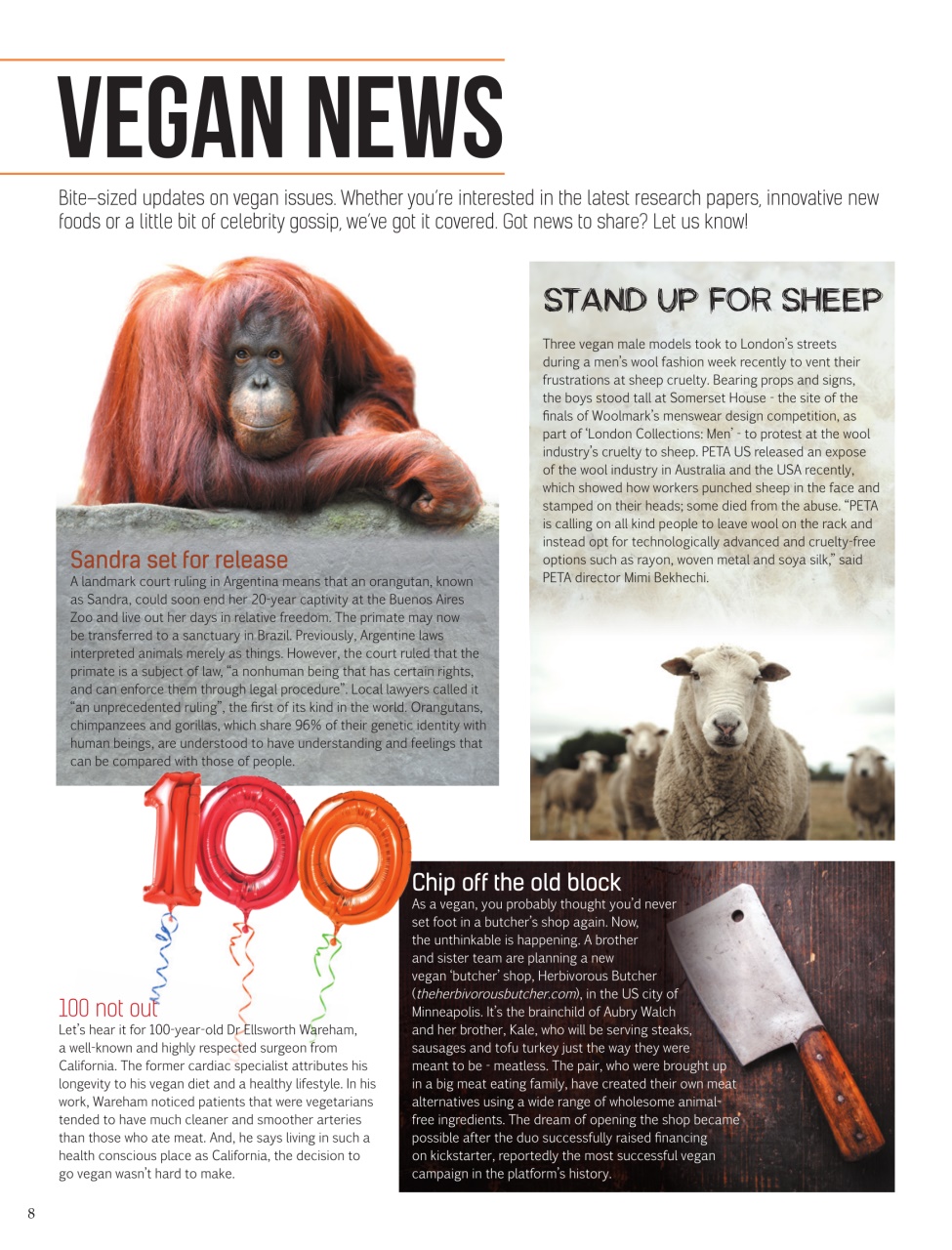 Vegan Life Preview Pages
