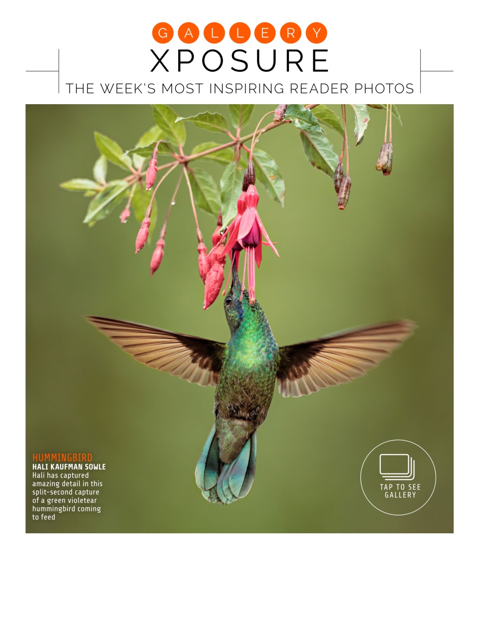Photography Week Preview Pages