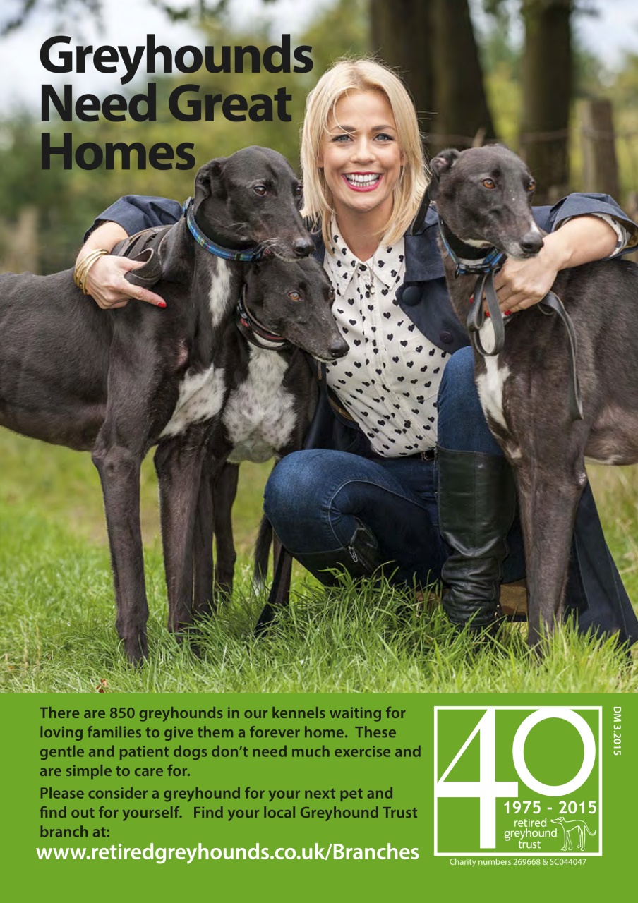Dogs Monthly Preview Pages