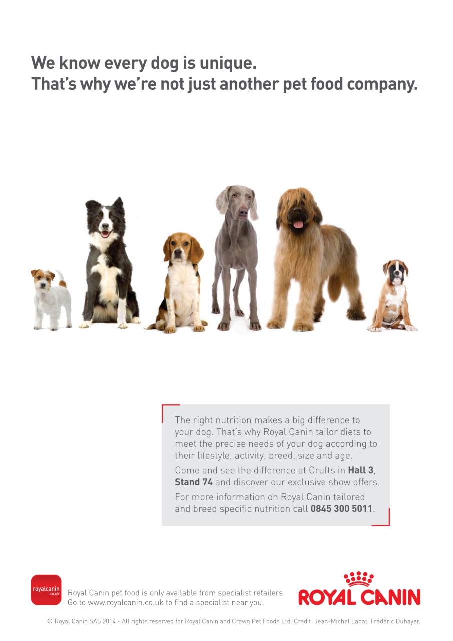 Dogs Monthly Preview Pages