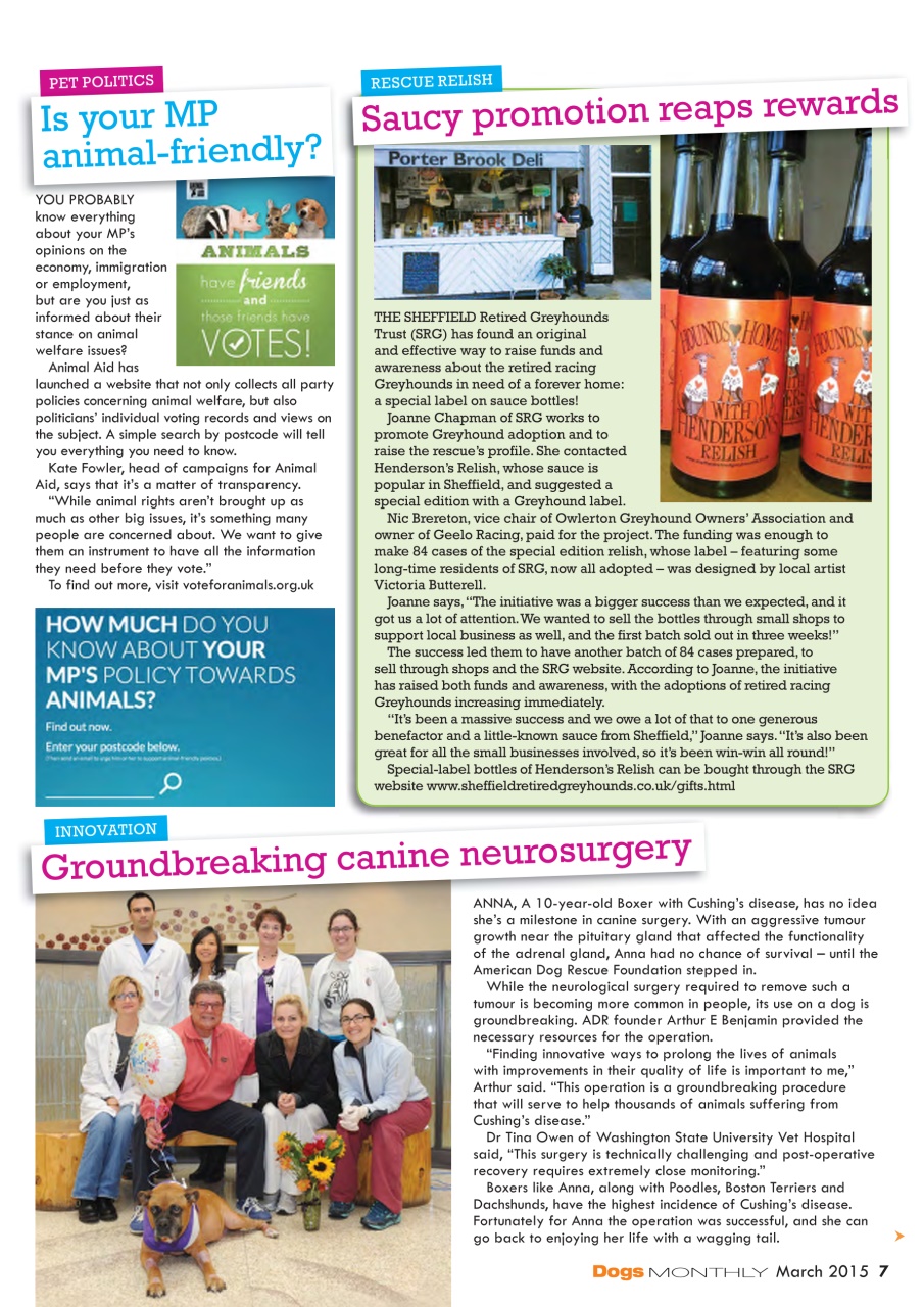 Dogs Monthly Preview Pages