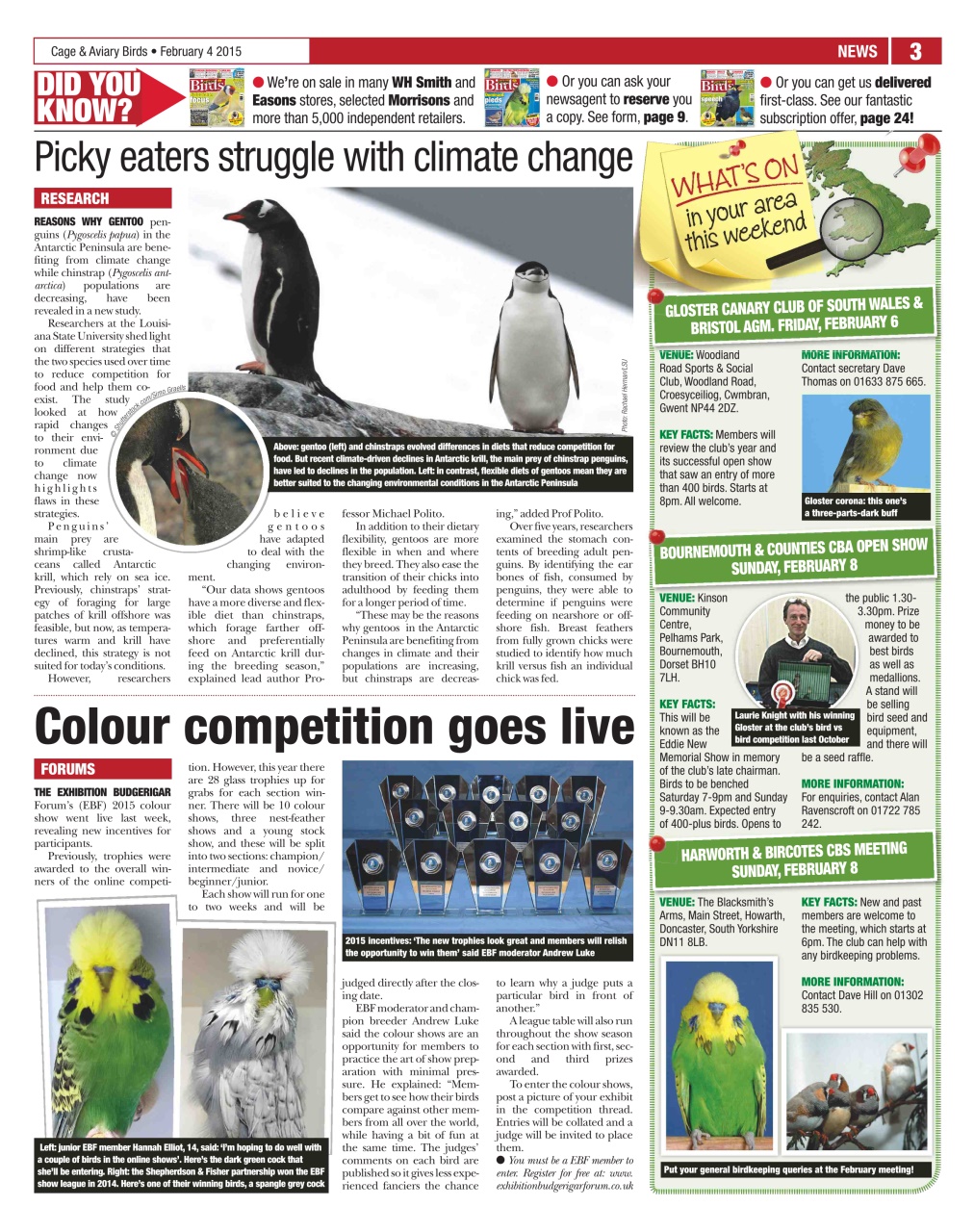 Cage & Aviary Birds Preview Pages