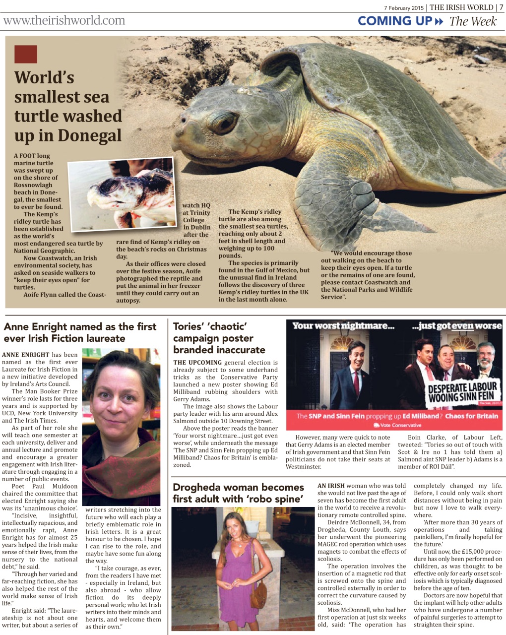 Irish World Preview Pages