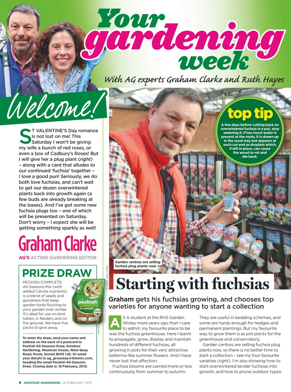 Amateur Gardening Preview Pages