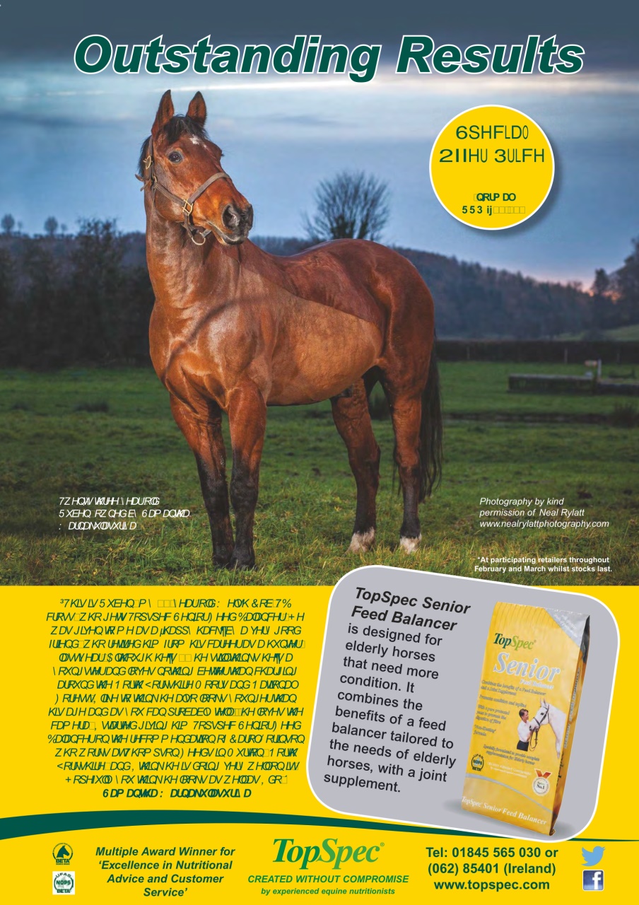 Horse & Hound Preview Pages