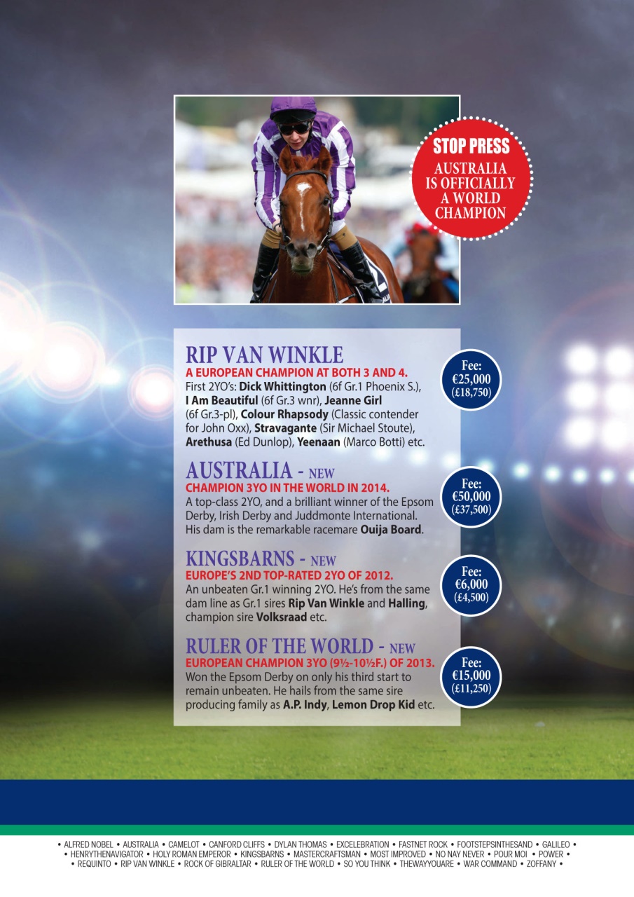 The Owner Breeder Preview Pages