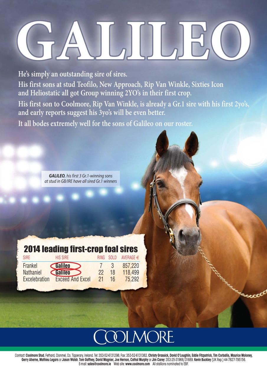 The Owner Breeder Preview Pages