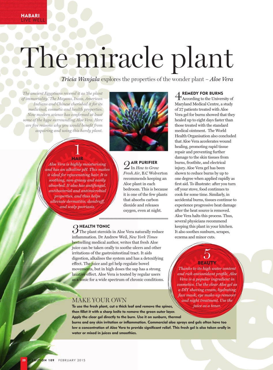 MSAFIRI – Kenya Airways Inflight Preview Pages