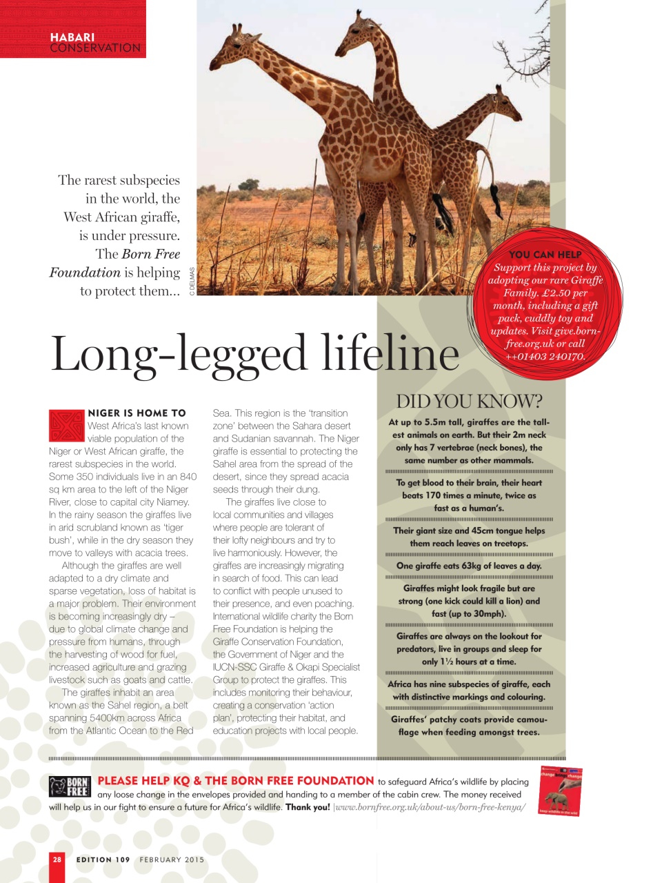 MSAFIRI – Kenya Airways Inflight Preview Pages