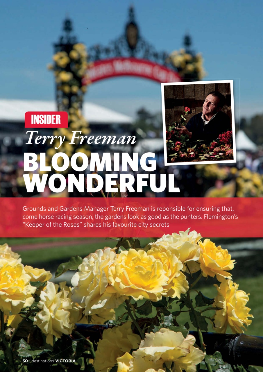 Destinations Series Preview Pages