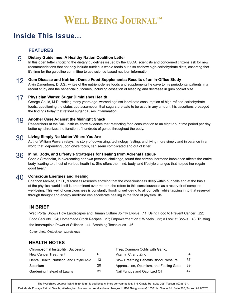 Well Being Journal Preview Pages