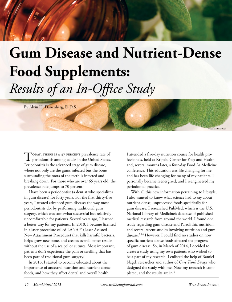 Well Being Journal Preview Pages