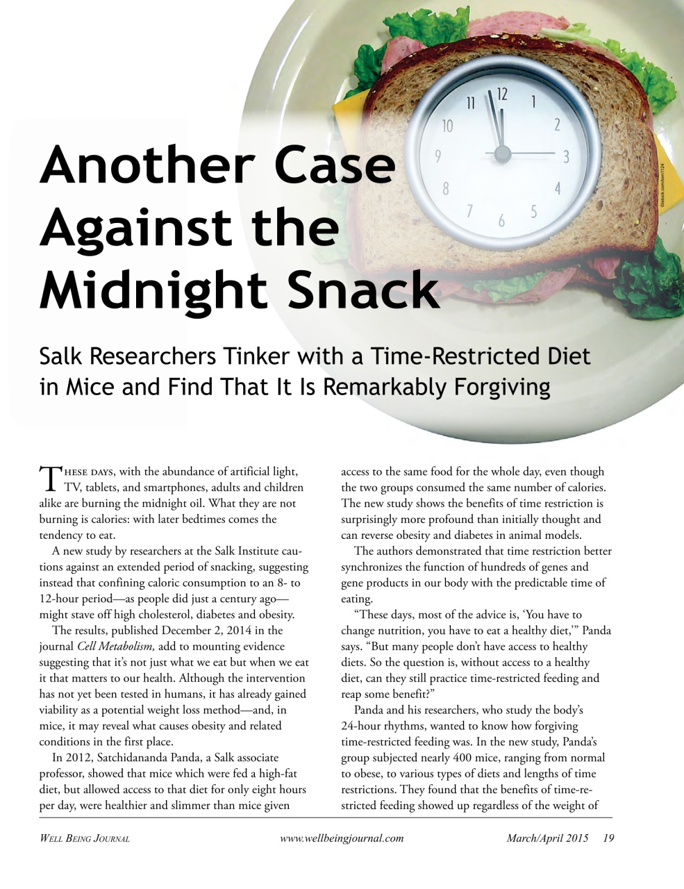 Well Being Journal Preview Pages