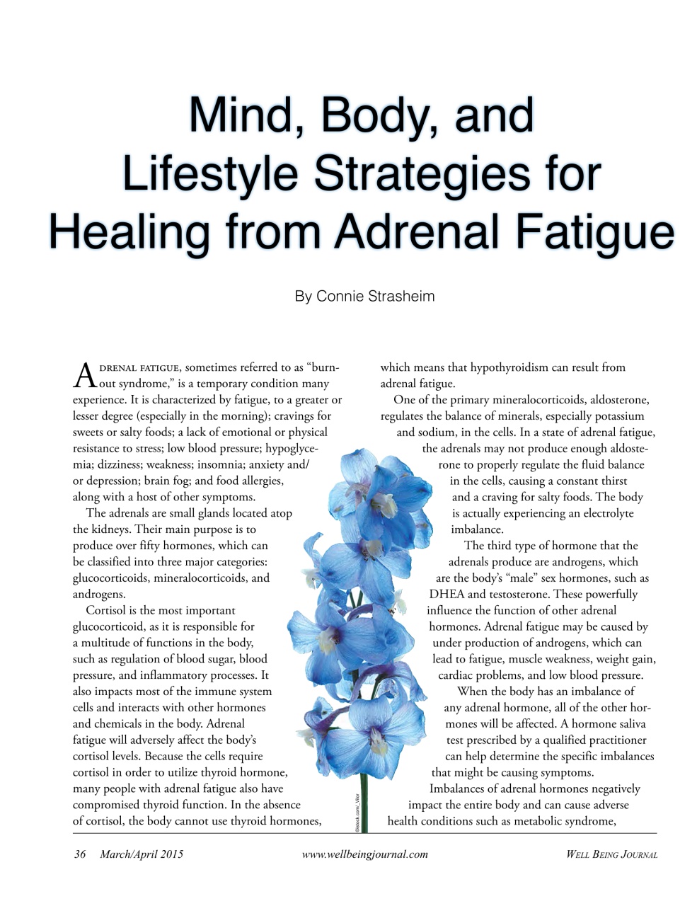 Well Being Journal Preview Pages