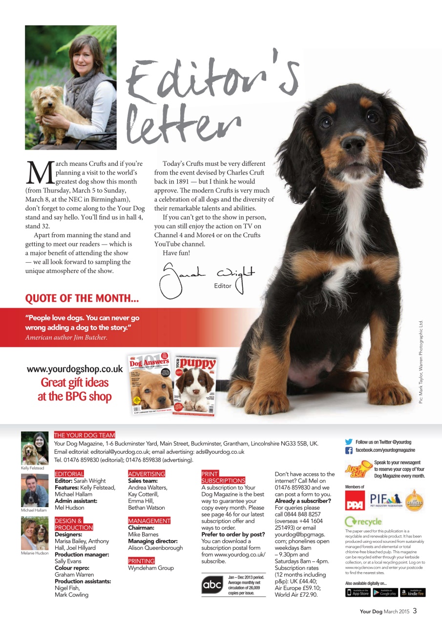 Your Dog Preview Pages