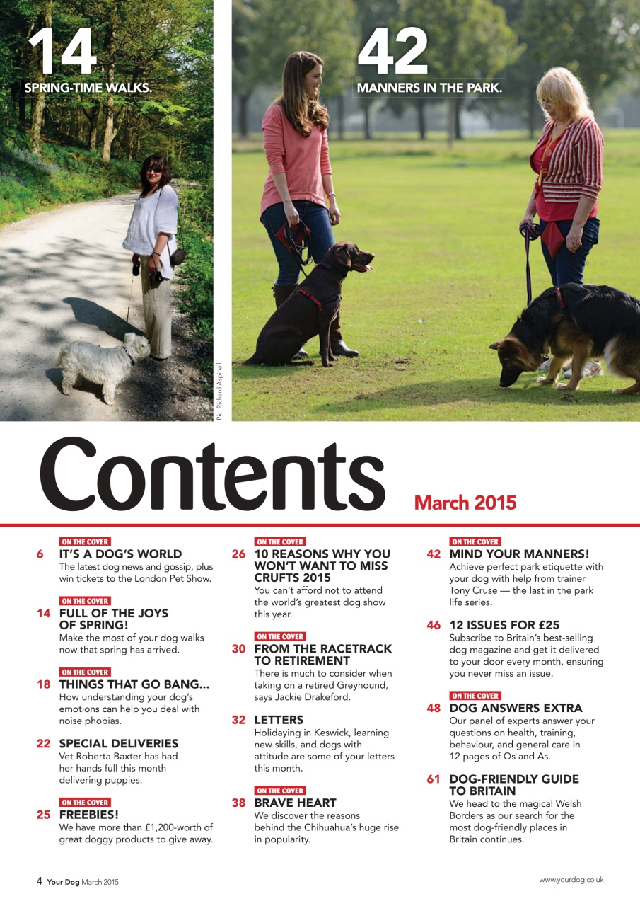 Your Dog Preview Pages