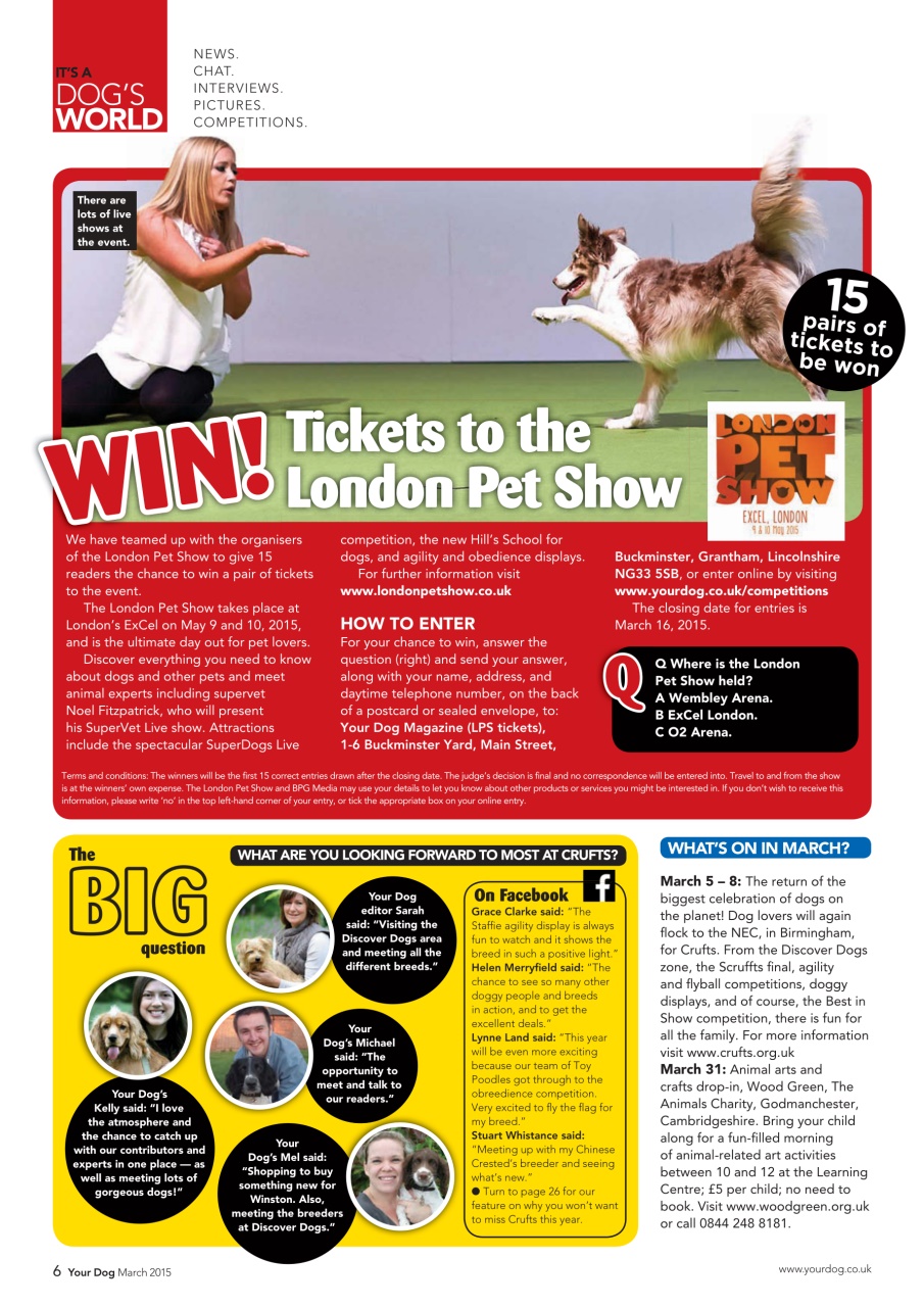 Your Dog Preview Pages