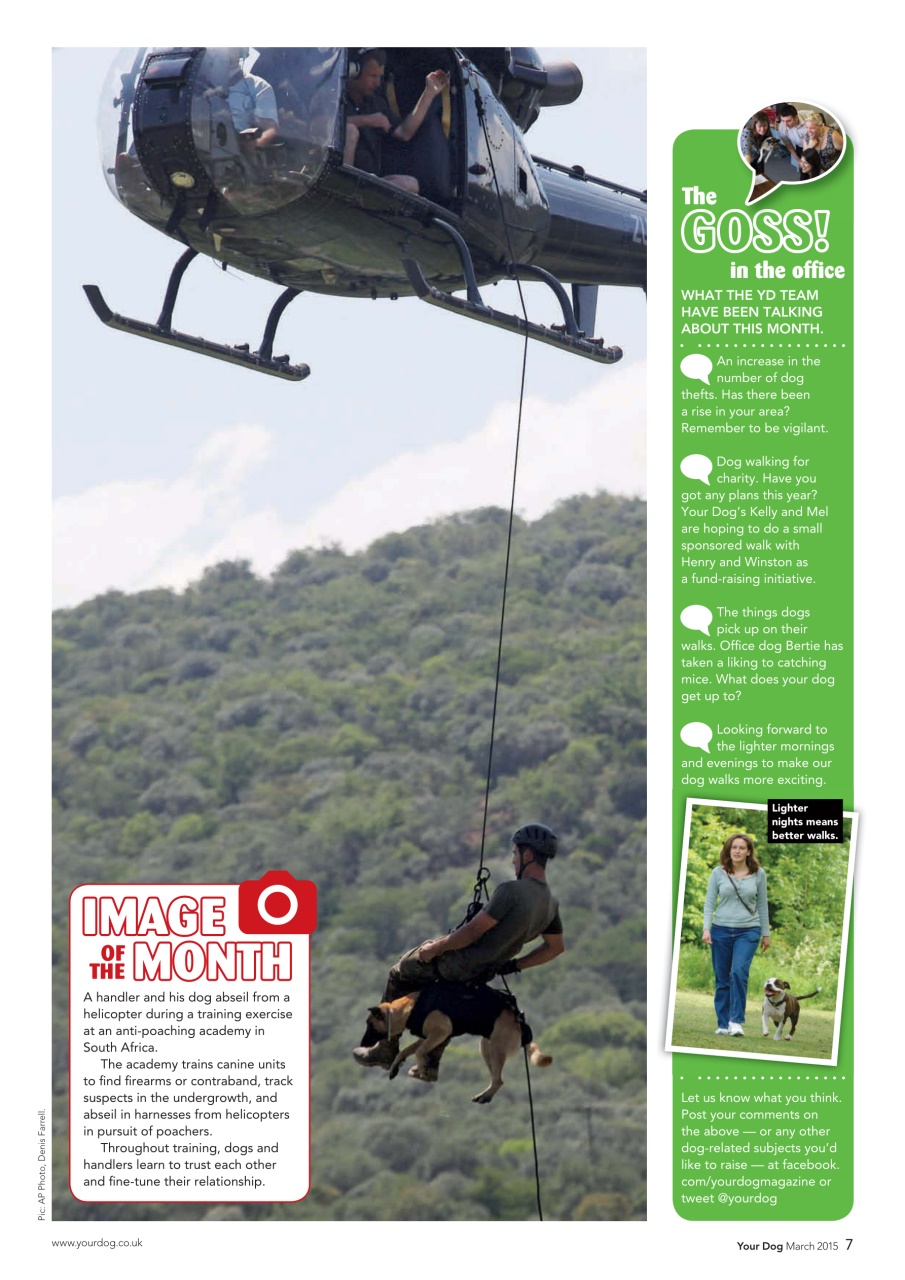 Your Dog Preview Pages