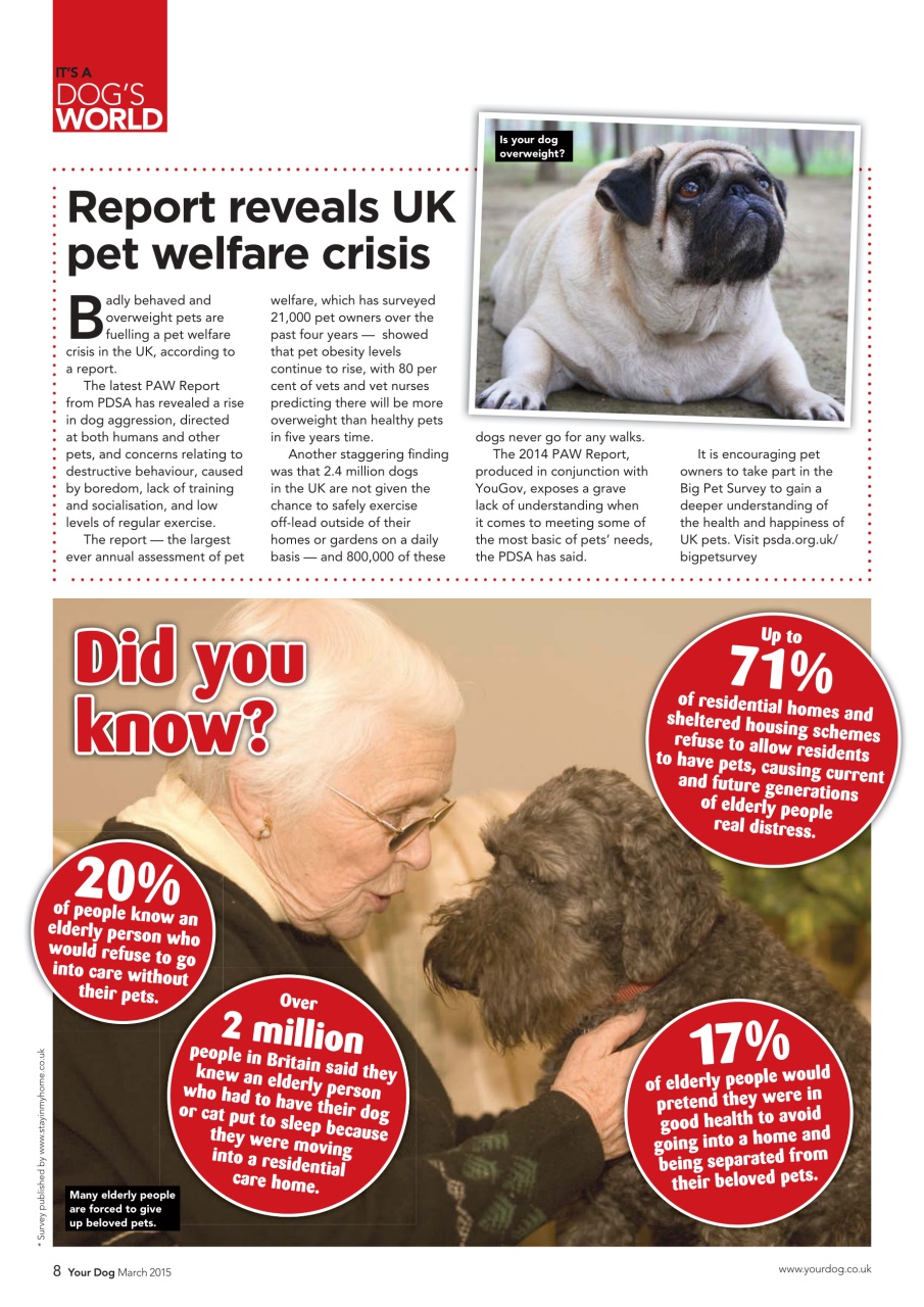 Your Dog Preview Pages