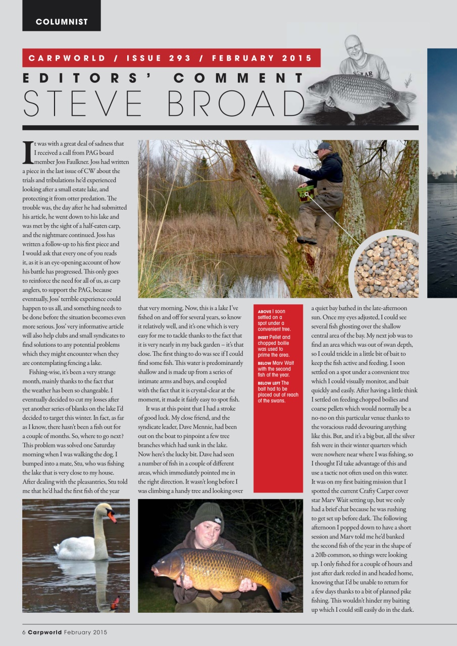 Carpworld Preview Pages