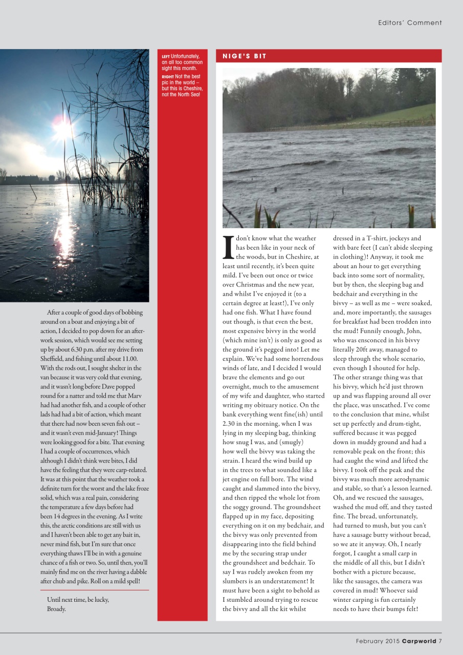 Carpworld Preview Pages