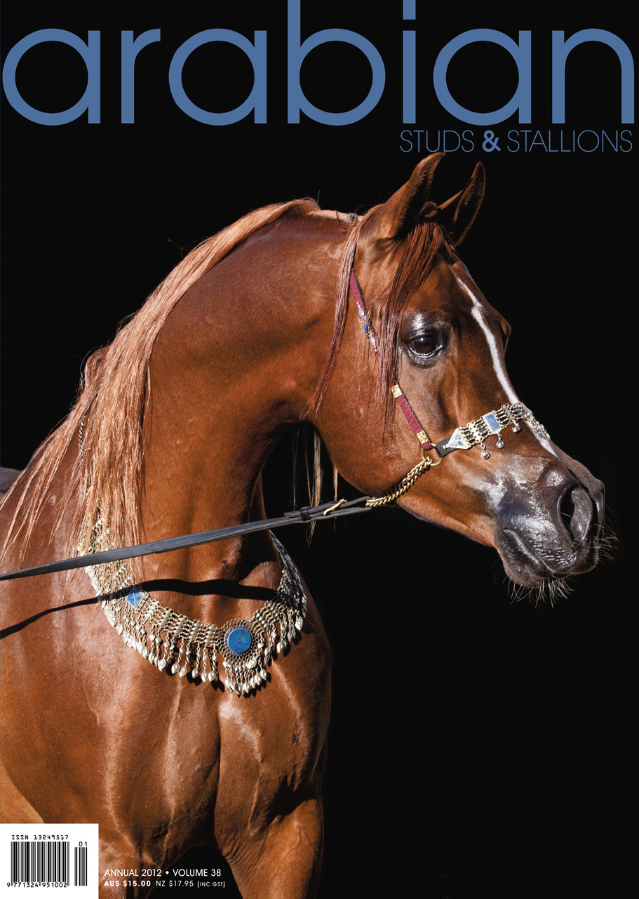 Arabian Studs & Stallions Preview Pages