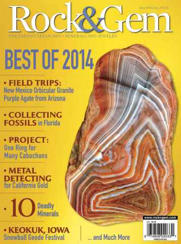 Best of 2014 issue Best of 2014