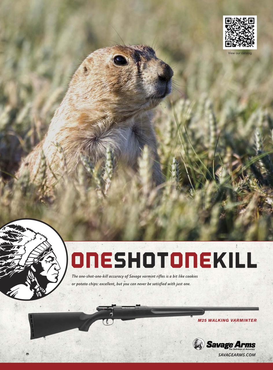 Gun World Preview Pages