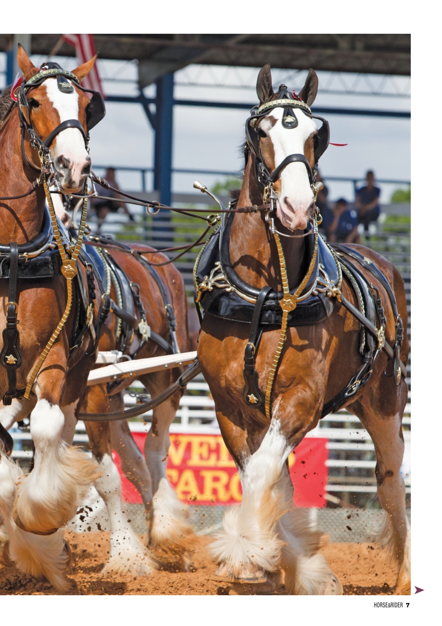 Horse&Rider Magazine - UK equestrian magazine for Horse and Rider Preview Pages