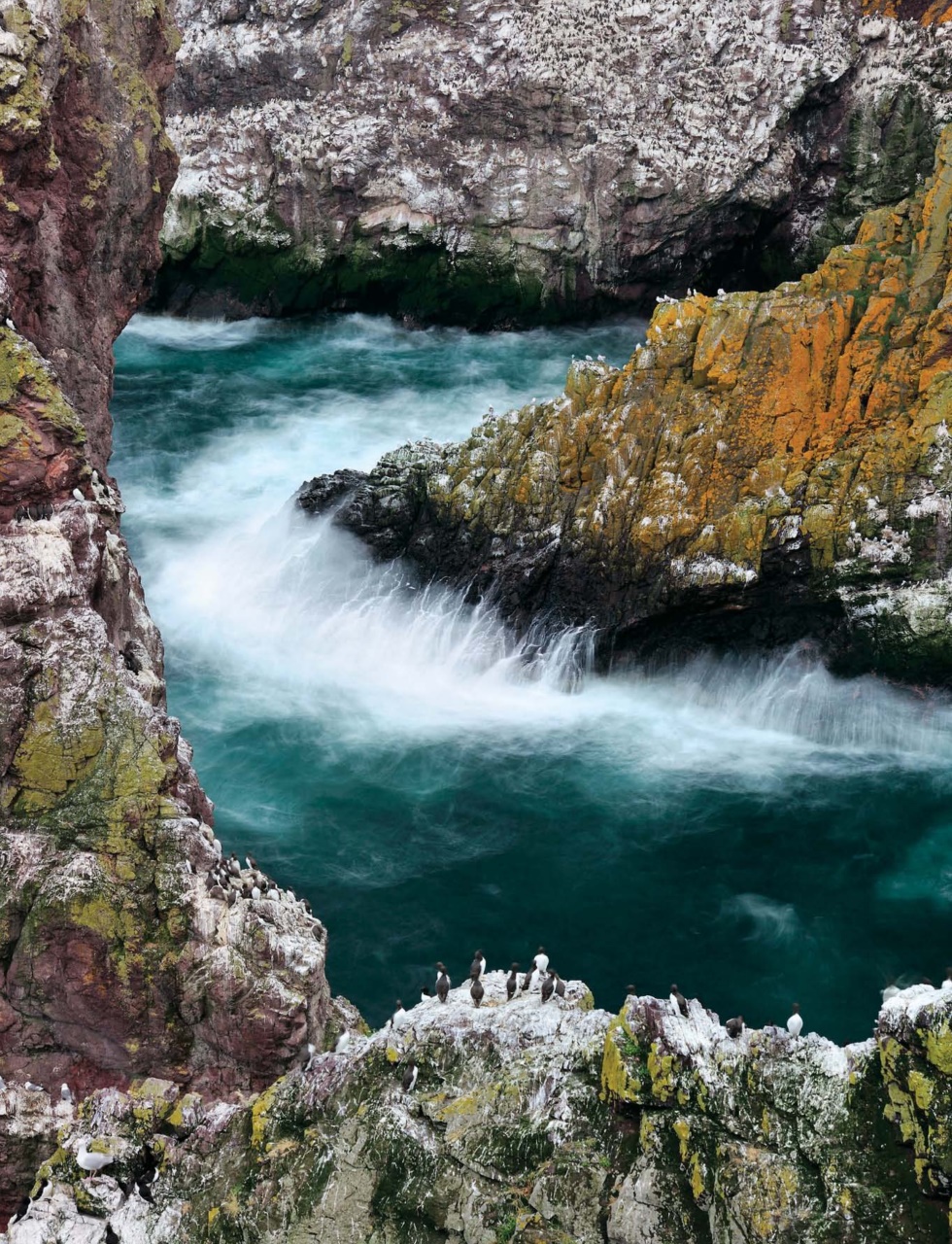 Outdoor Photography Preview Pages