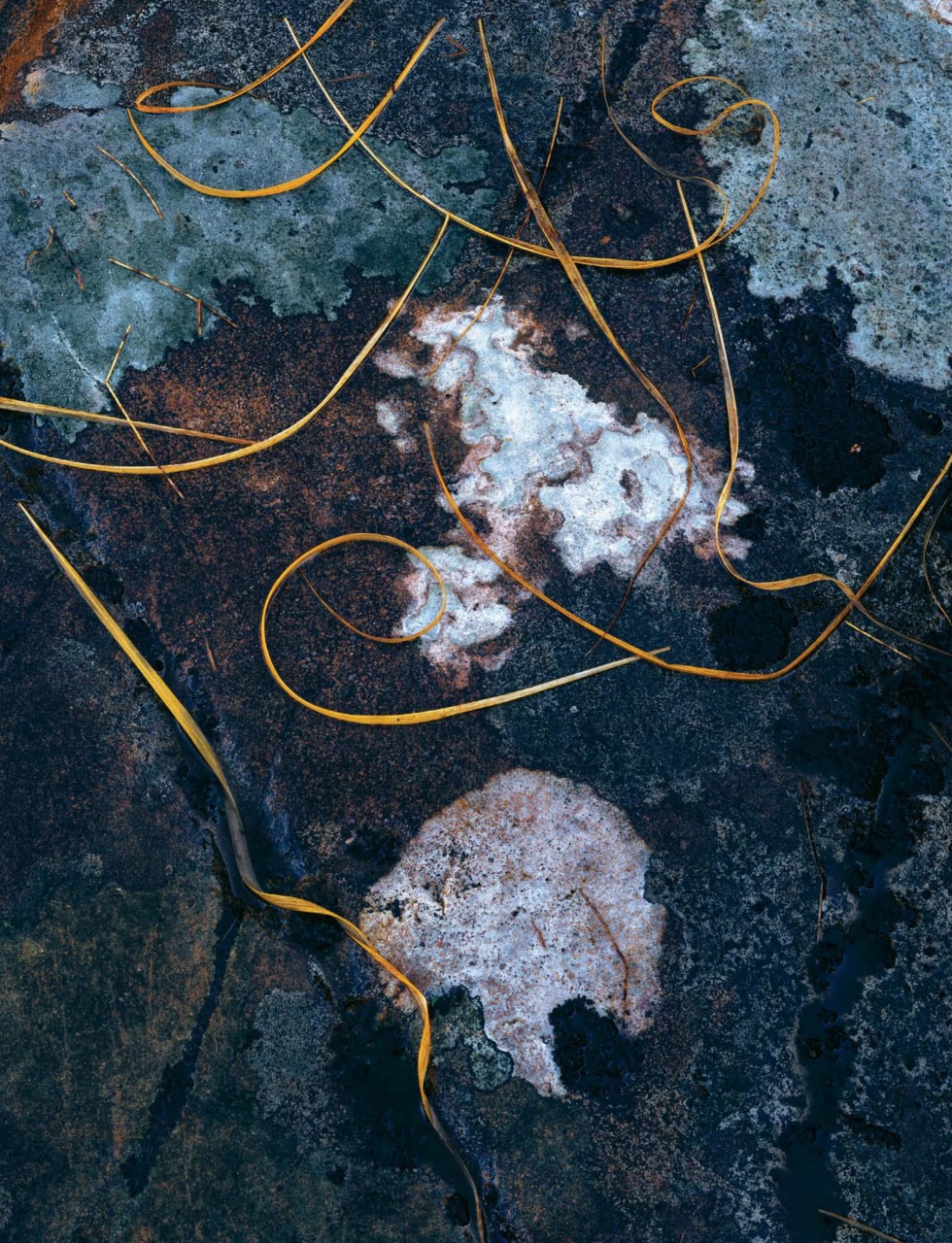 Outdoor Photography Preview Pages