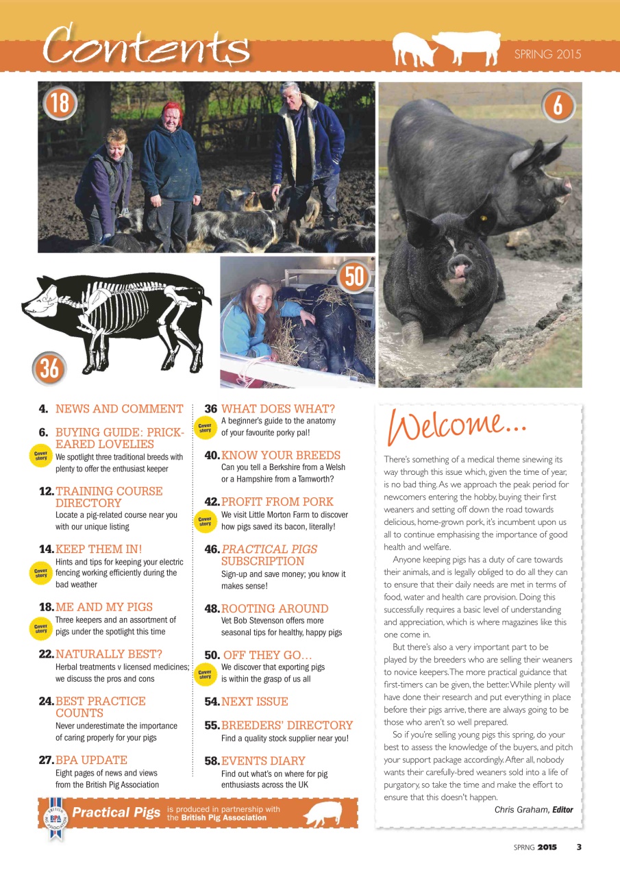 Practical Pigs Preview Pages