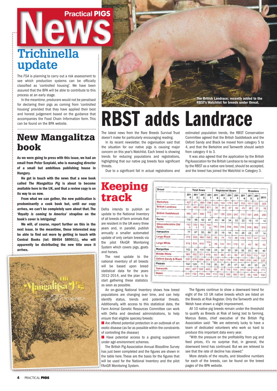 Practical Pigs Preview Pages