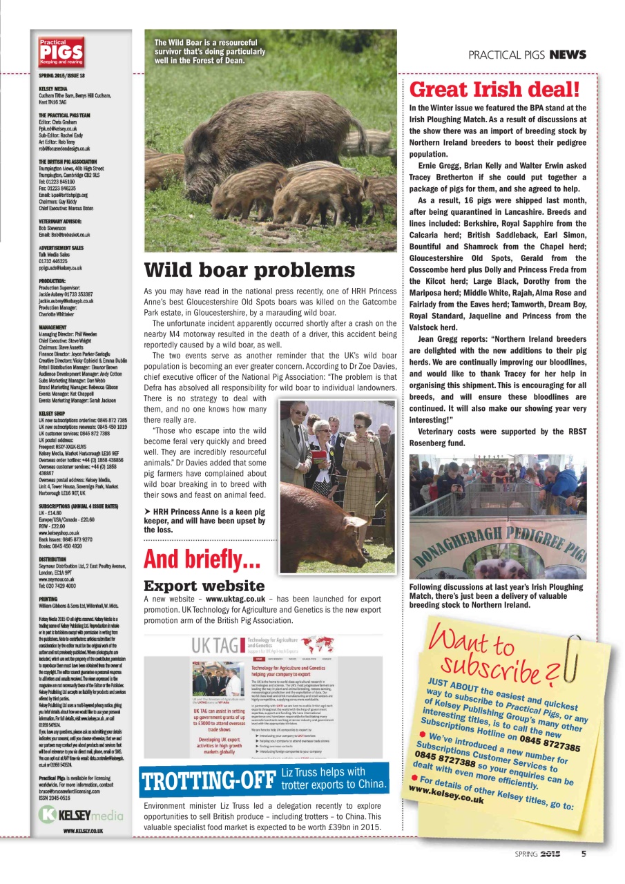 Practical Pigs Preview Pages