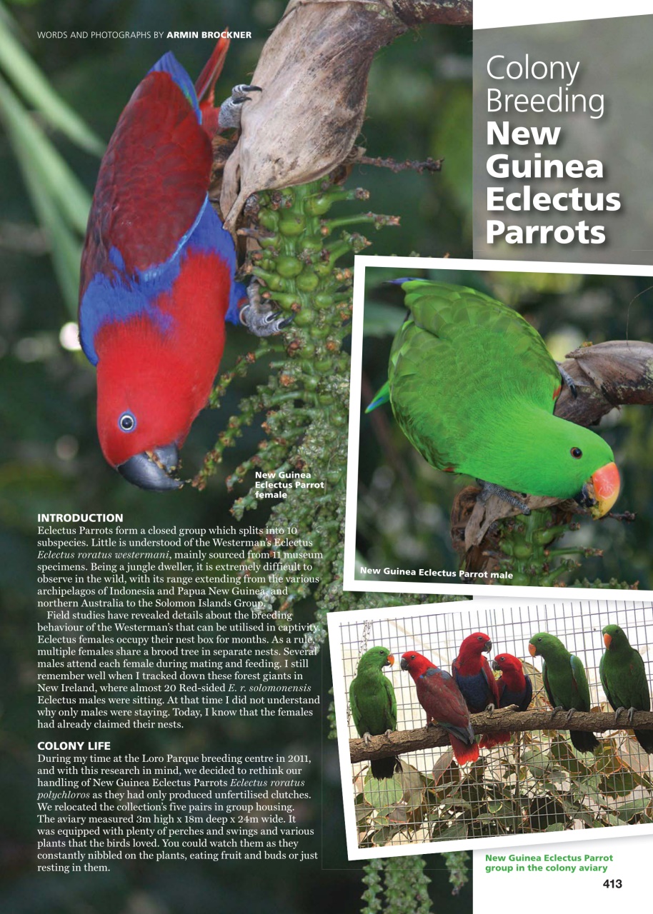 Australian Birdkeeper Magazine Preview Pages