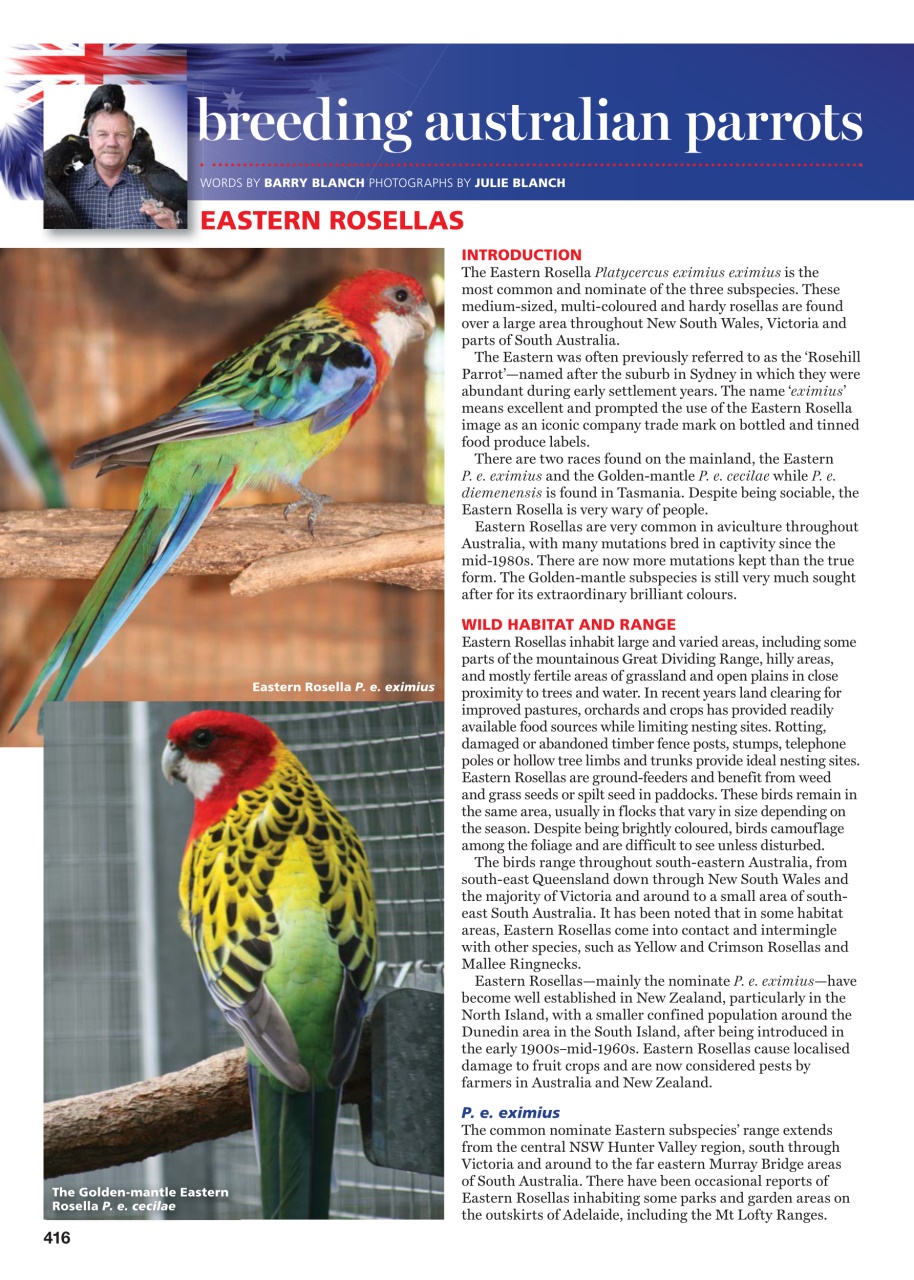 Australian Birdkeeper Magazine Preview Pages