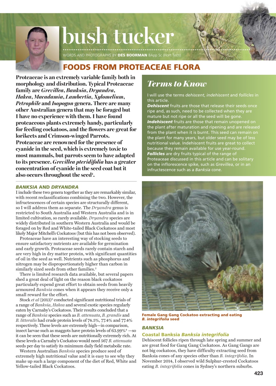 Australian Birdkeeper Magazine Preview Pages