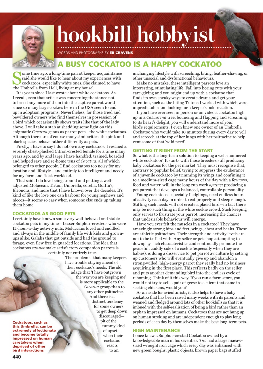 Australian Birdkeeper Magazine Preview Pages