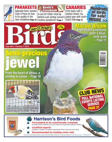 Cage & Aviary Birds issue No.5841 Semi-precious Jewel