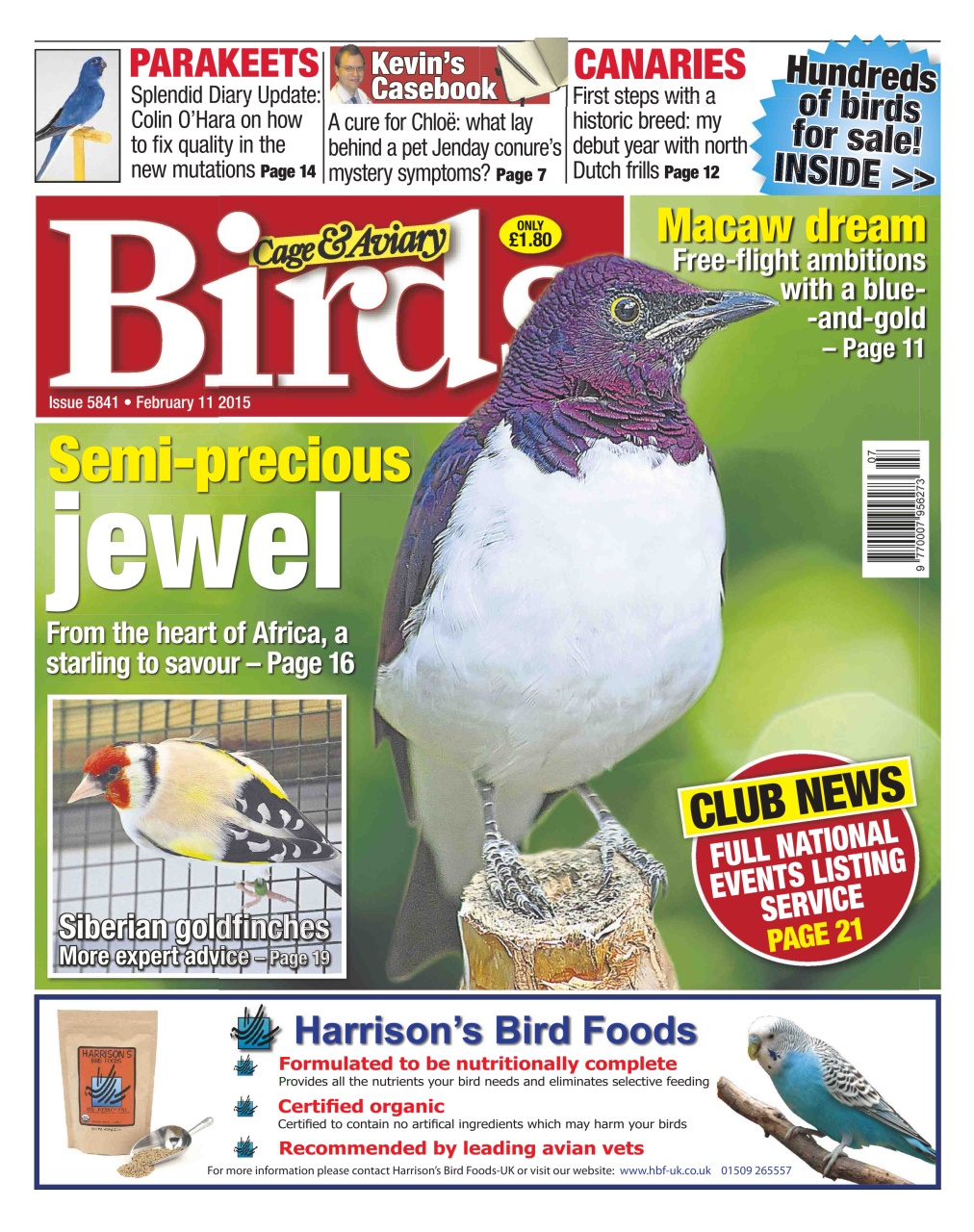 Cage & Aviary Birds Preview Pages