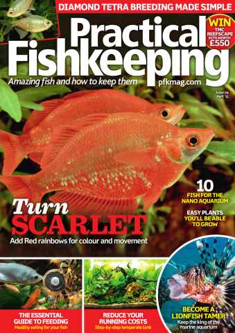 Practical Fishkeeping issue April 2015