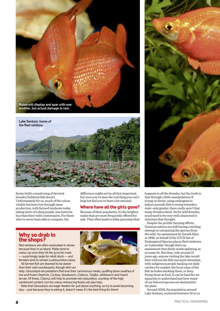 Practical Fishkeeping Preview Pages