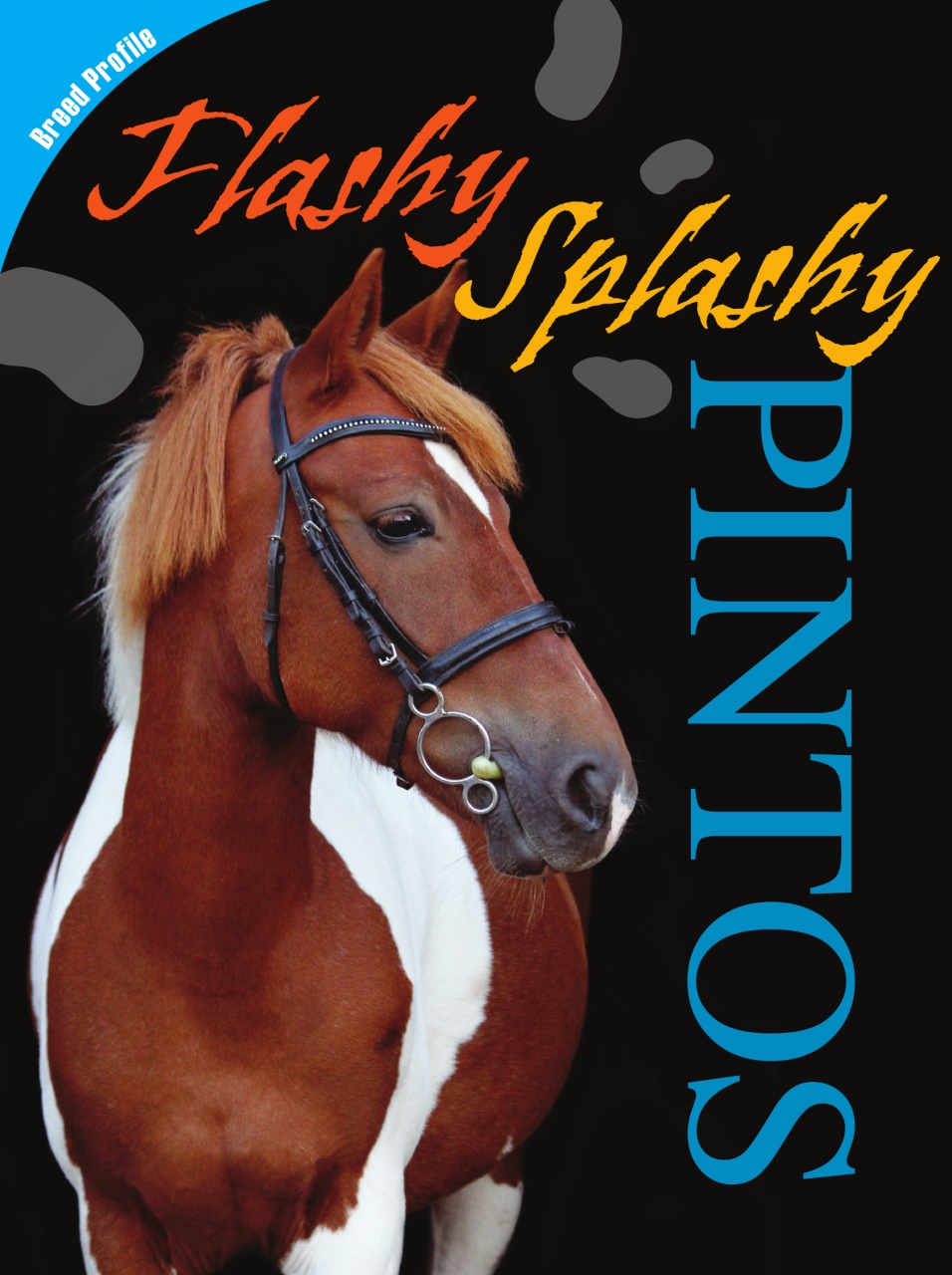 Blaze Magazine For Horse Crazy Kids Preview Pages