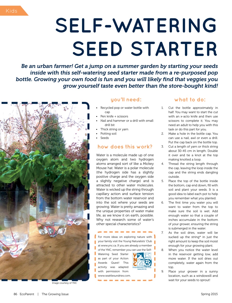 Ecoparent Magazine Preview Pages