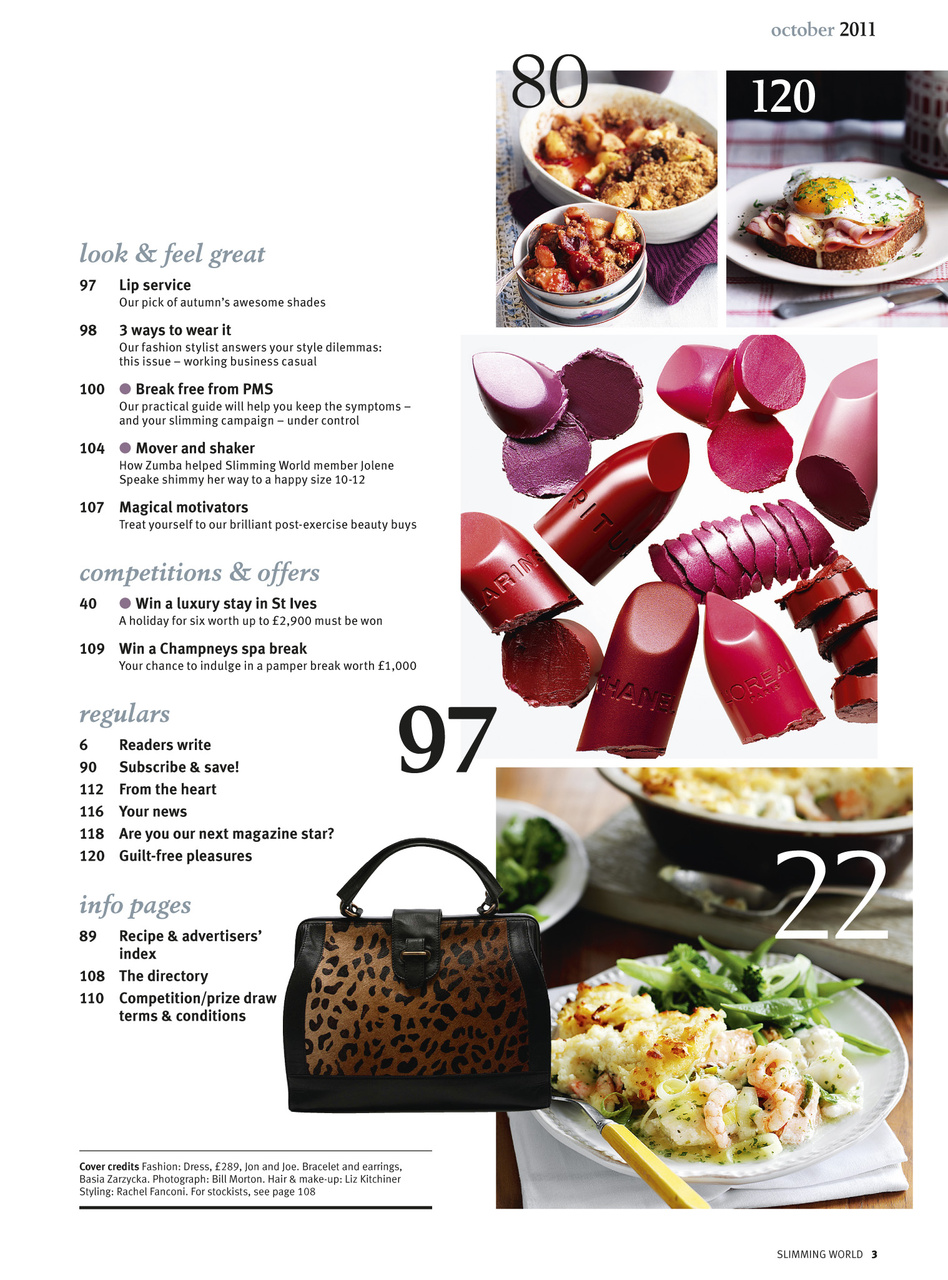 Slimming World Preview Pages