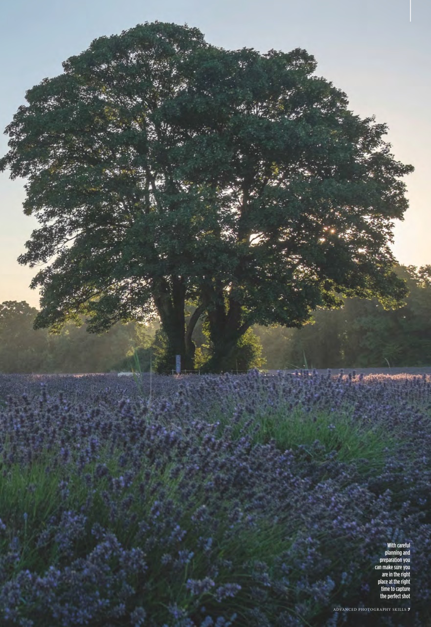 Amateur Photographer Preview Pages