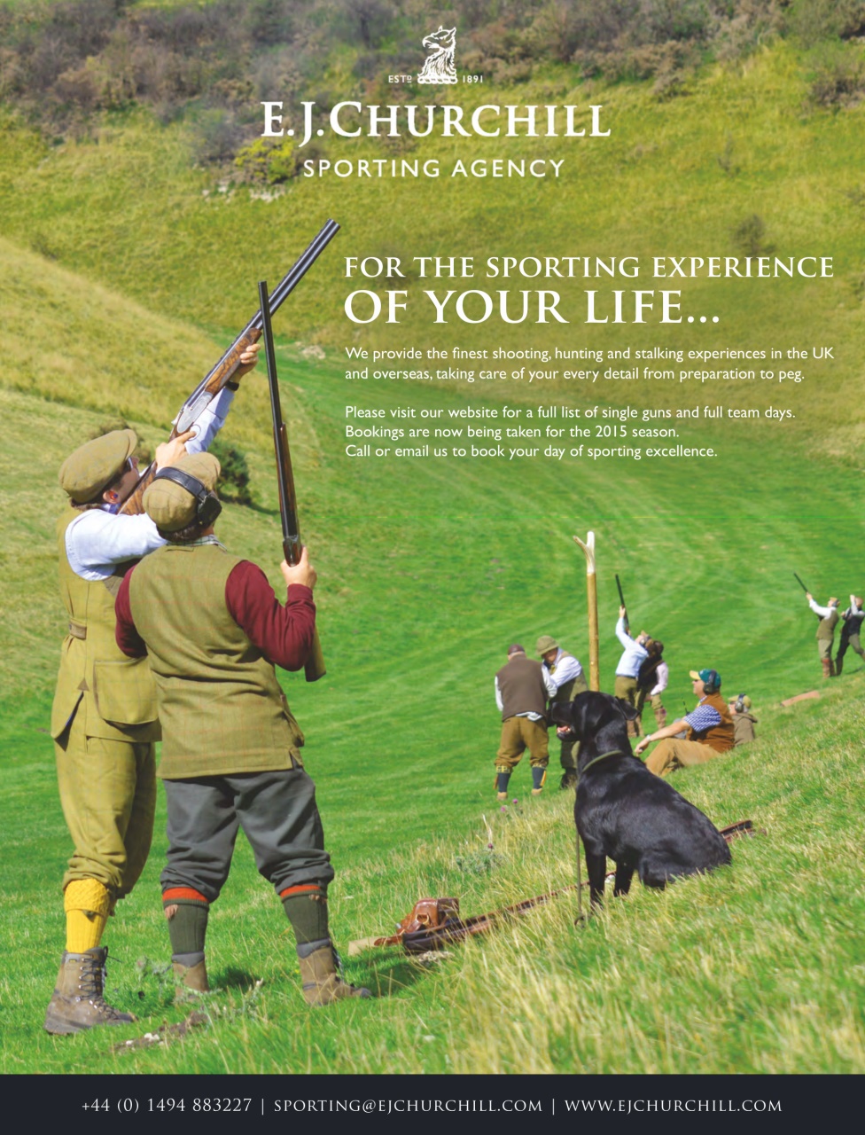 The Field Preview Pages