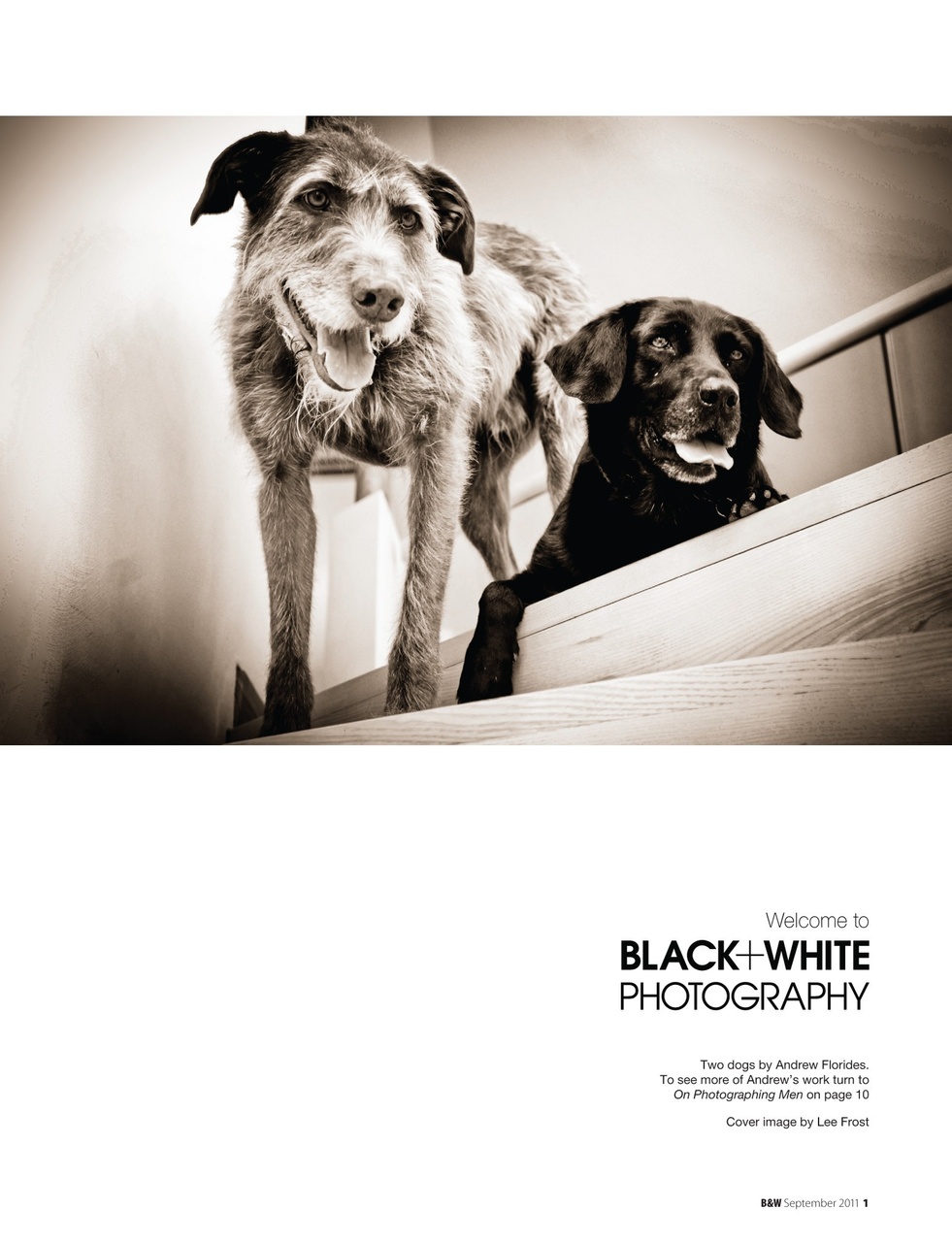 Black+White Photography Preview Pages